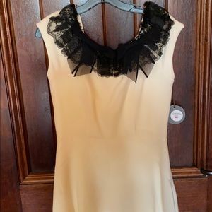 Eva Franco dress NWT Size 6